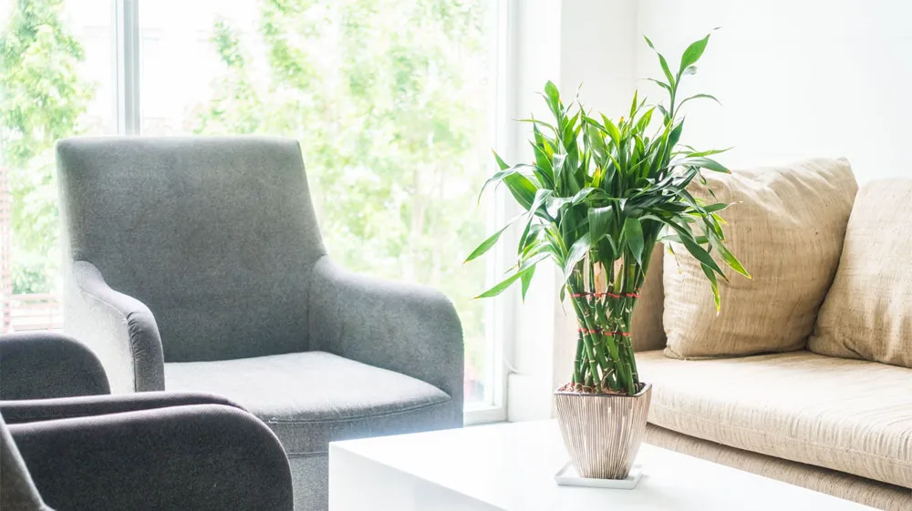 Consulta clínica con sillón y ambiente luminoso